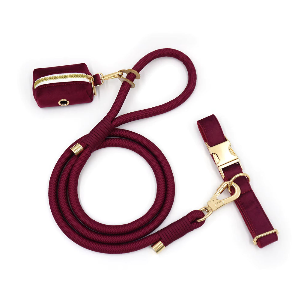 Personalized Velvet Dog Walking Set