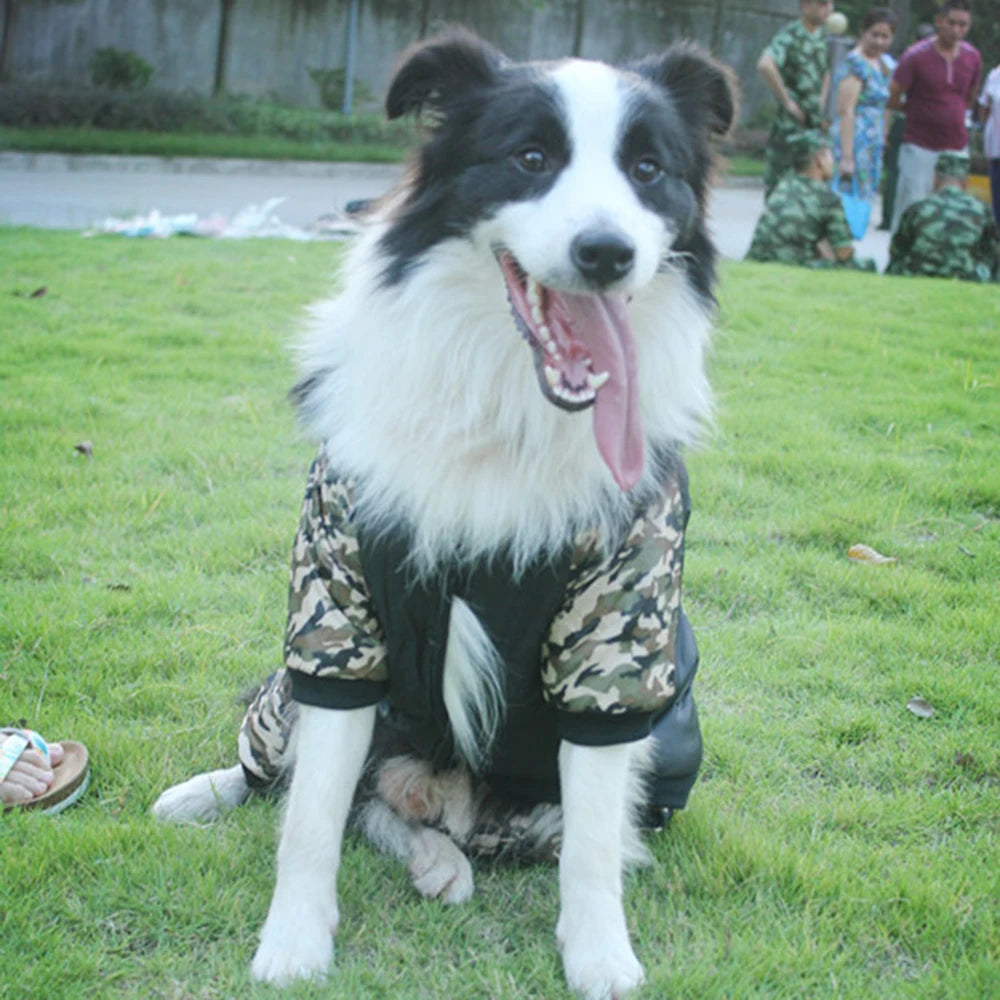 Camouflage Winter Dog Jacket – Thick, Warm, and Stylish for All Breeds (S–2XL)