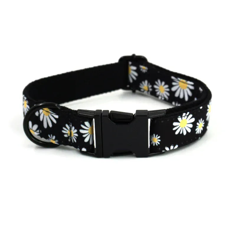 DDPaws  Collar / XS Little Daisy Floral Pattern Set