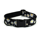 DDPaws  Collar / XS Little Daisy Floral Pattern Set