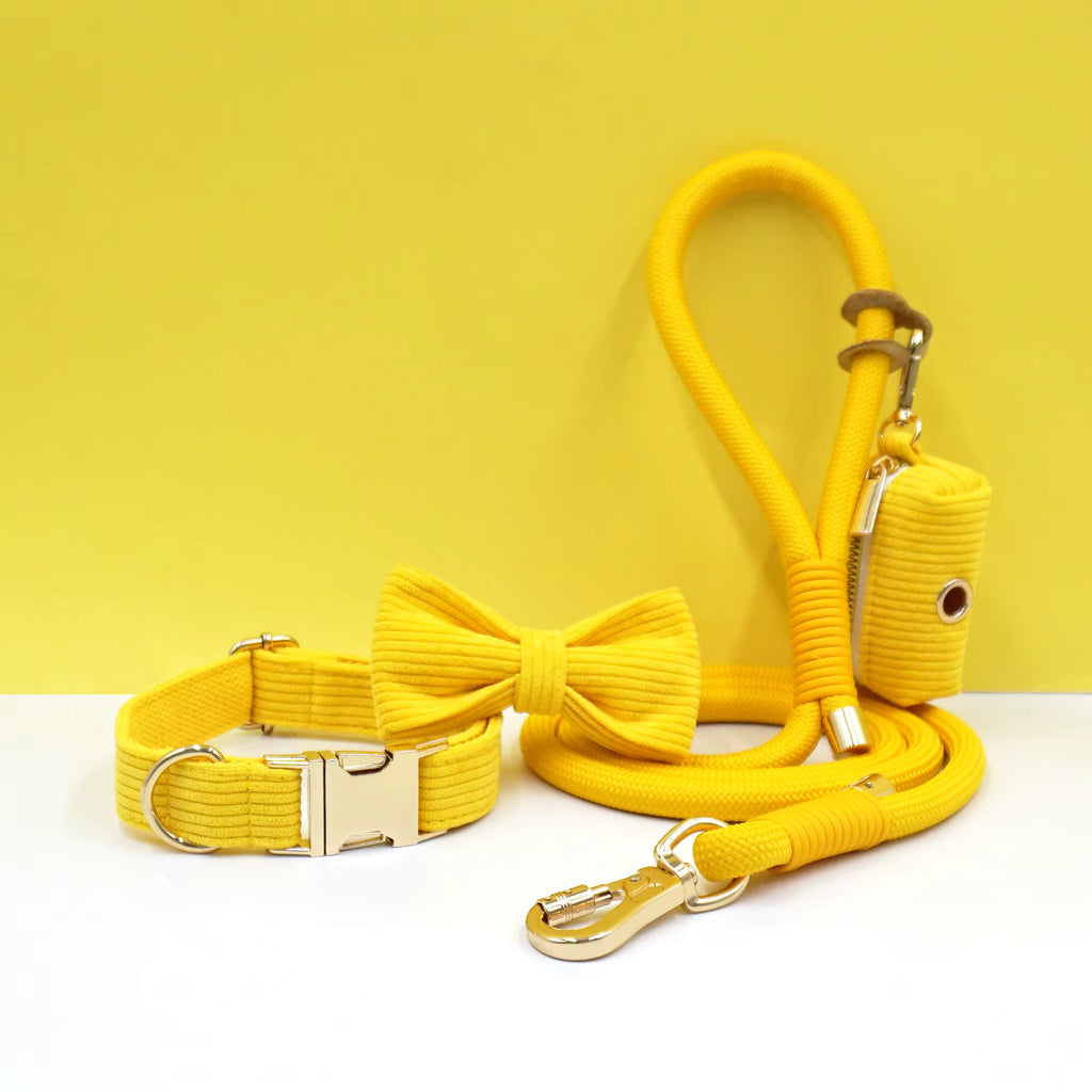 Personalized Corduroy Dog Walking Set