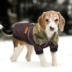 Cool Dog Leather Jacket – Warm Waterproof Winter Coat for Small & Medium Dogs