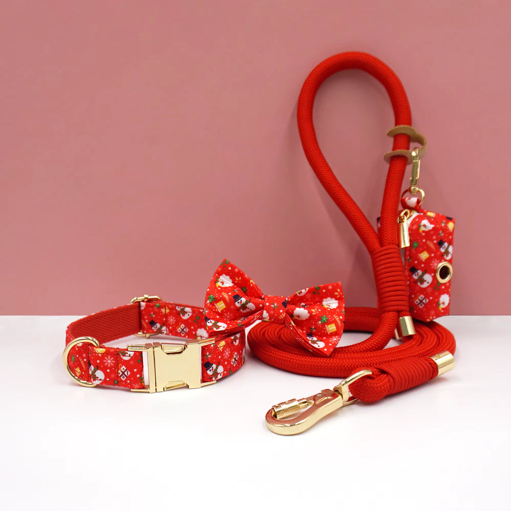 Personalized Holiday Dog Walking Set