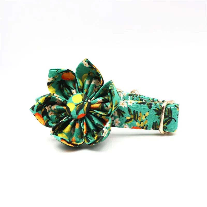 DDPaws  Personalized Floral Lemon Girly Dog Collar Flower with Matching Leash and Harness
