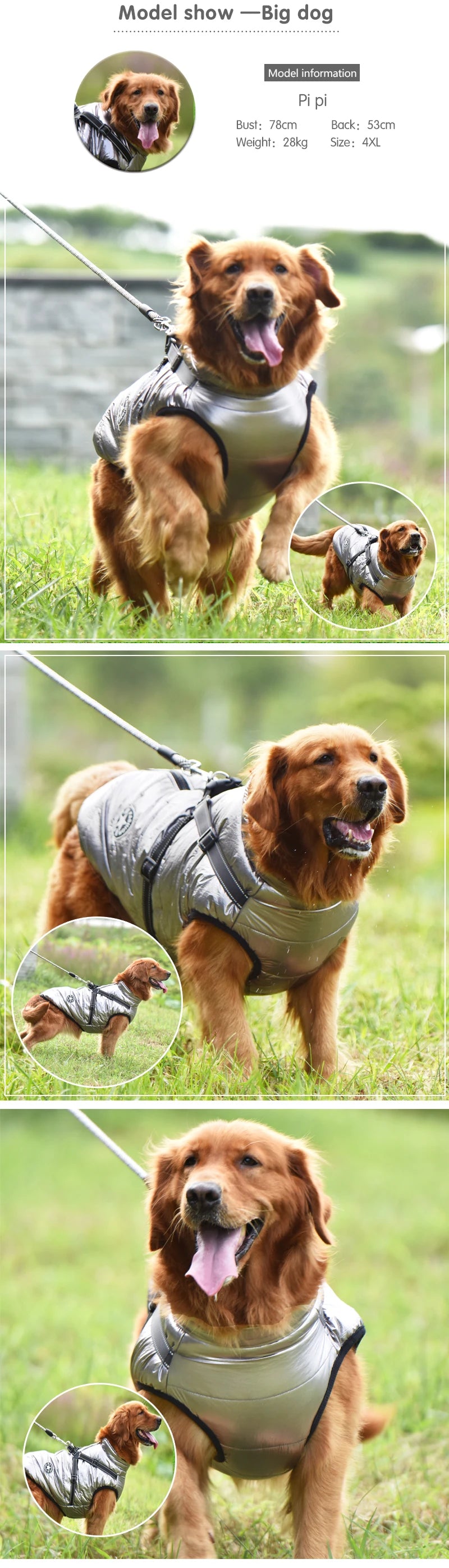 Waterproof Winter Dog Jacket with Built-in Harness – Warm Coat for Small & Large Breeds