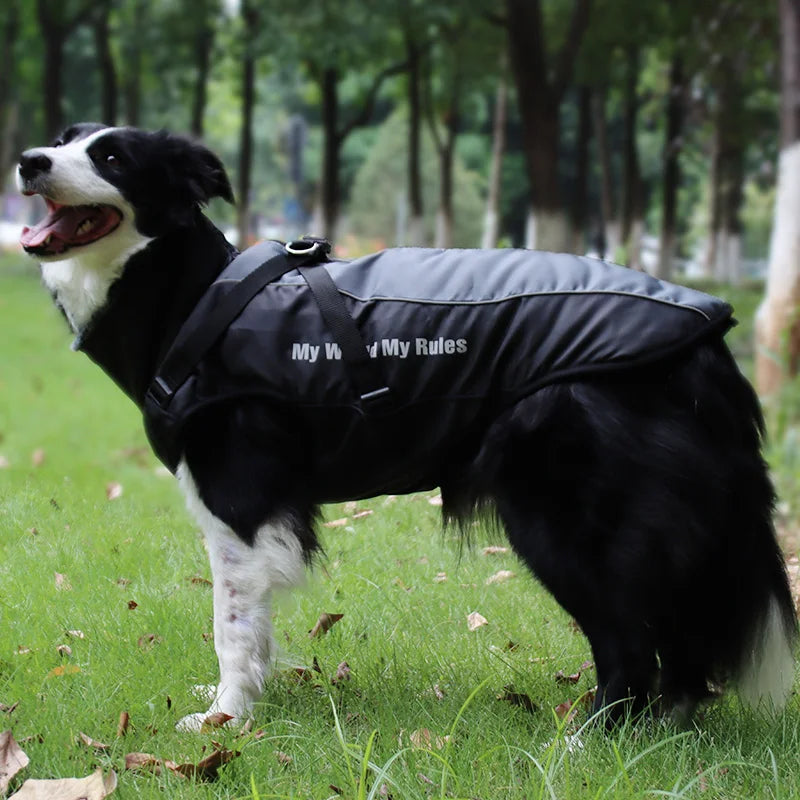 Waterproof Winter Dog Coat with Harness – Warm Jacket for Large Dogs
