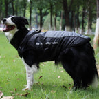 Waterproof Winter Dog Coat with Harness – Warm Jacket for Large Dogs