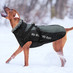 Waterproof Winter Dog Coat with Harness – Warm Jacket for Large Dogs