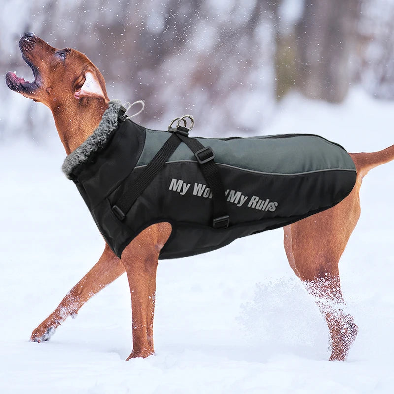 Waterproof Winter Dog Coat with Harness – Warm Jacket for Large Dogs
