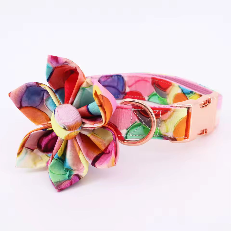 Sugar Pop Floral Dog Collar and Leash Set