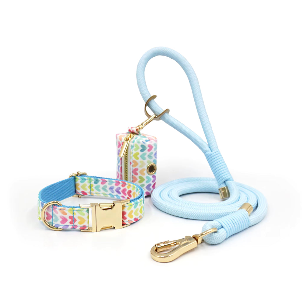DDPaws Personalized Rope Dog Collar Leash Set