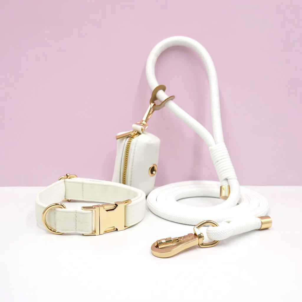 Personalized Velvet Dog Walking Set