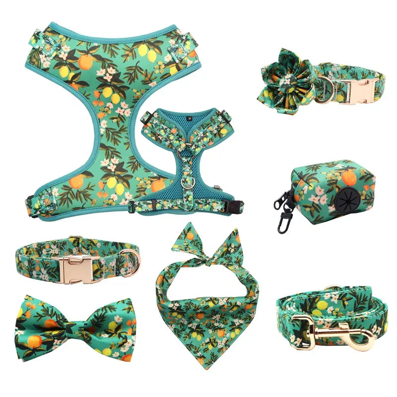 DDPaws  all full set / XS（old） Personalized Floral Lemon Girly Dog Collar Flower with Matching Leash and Harness