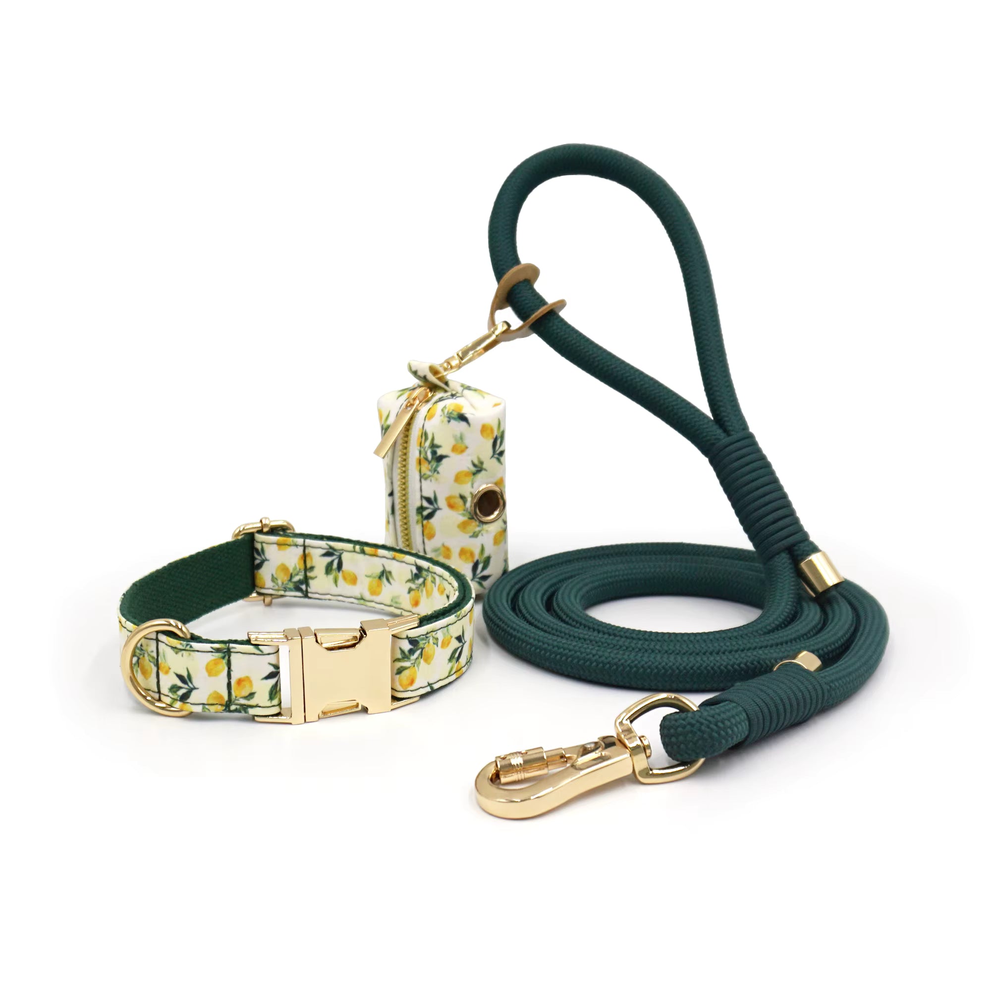 Personalized Floral Dog Walking Set – Custom Dog Collar Leash & Poop Bag Holder, Engraved Name Pet Gift