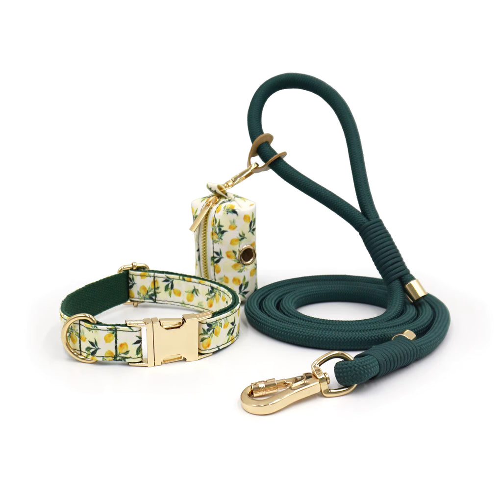 DDPaws Personalized Rope Dog Collar Leash Set