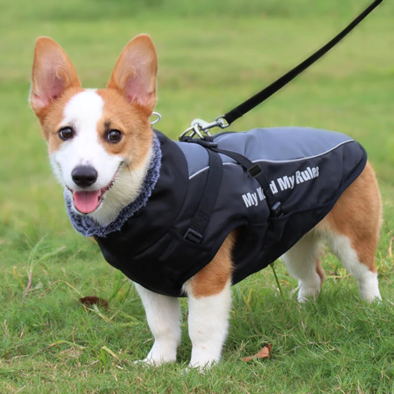 Waterproof Winter Dog Coat with Harness – Warm Jacket for Large Dogs