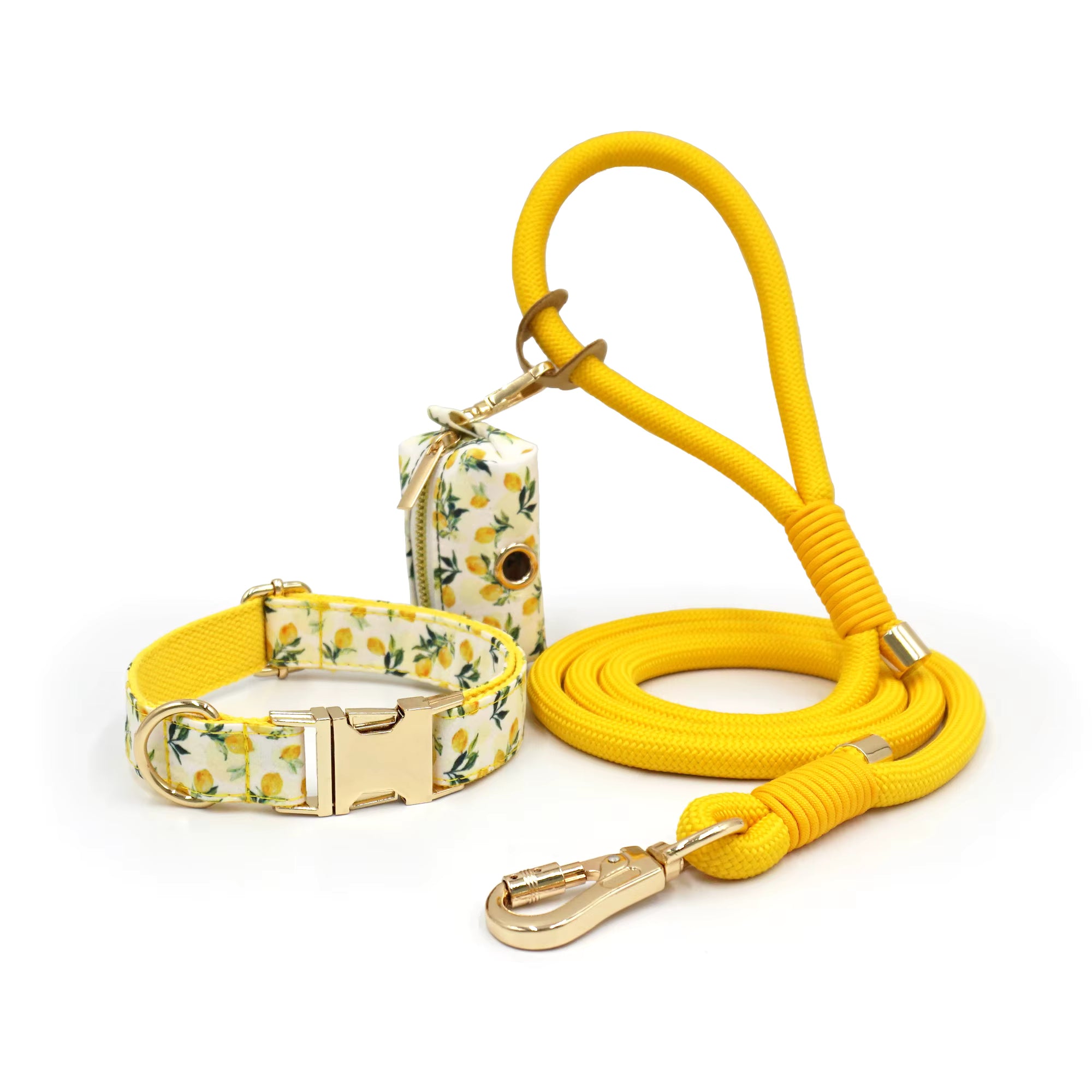 Personalized Floral Dog Walking Set – Custom Dog Collar Leash & Poop Bag Holder, Engraved Name Pet Gift