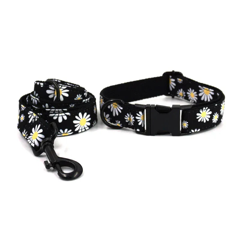 DDPaws  Collar + Leash / XS Little Daisy Floral Pattern Set