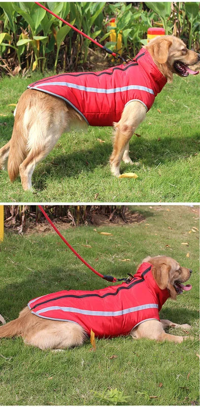 Waterproof Winter Dog Coat – Padded Fleece Jacket for Large Dogs