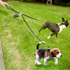 Double Dog Leather Leash – No-Tangle Coupler with Handle for Walking Two Dogs