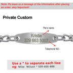 Personalized Dog Chain Collar – Engraved Metal Choke Collar for Training Medium & Large Dogs