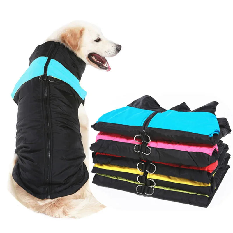 Waterproof Winter Dog Coat – Warm, Windproof Jacket for Small to Large Breeds