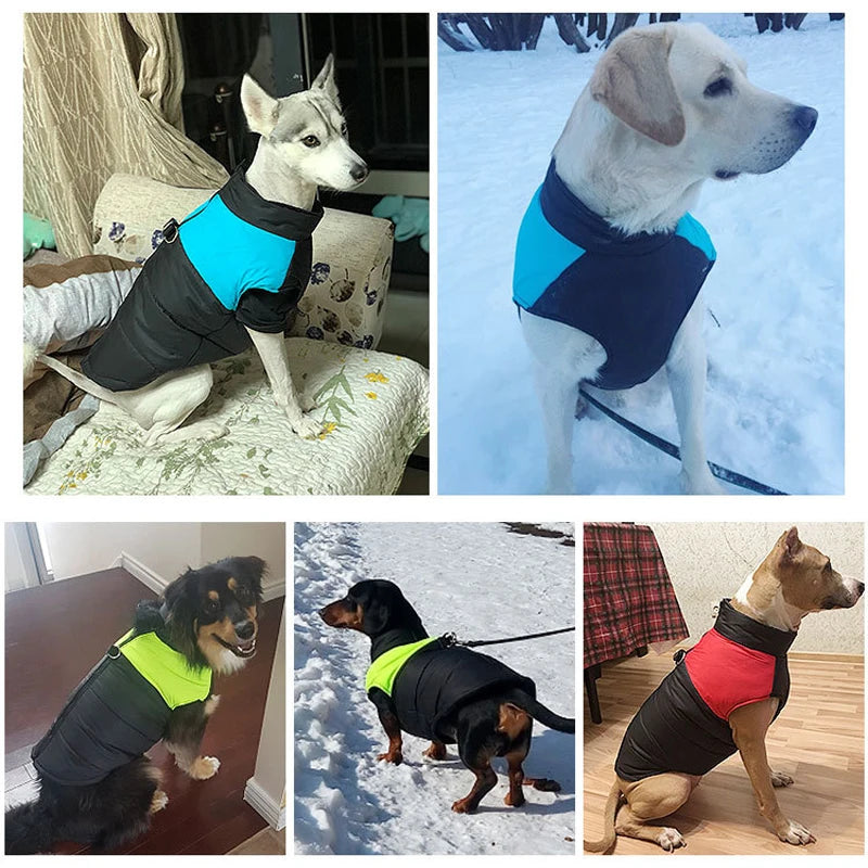 Waterproof Winter Dog Coat – Warm, Windproof Jacket for Small to Large Breeds