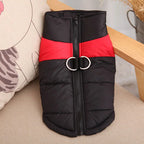 Waterproof Winter Dog Coat – Warm, Windproof Jacket for Small to Large Breeds
