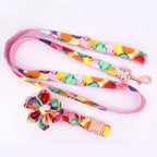 Sugar Pop Floral Dog Collar and Leash Set