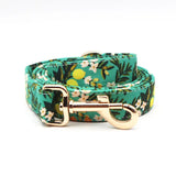 Leash