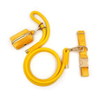 Personalized Velvet Dog Walking Set