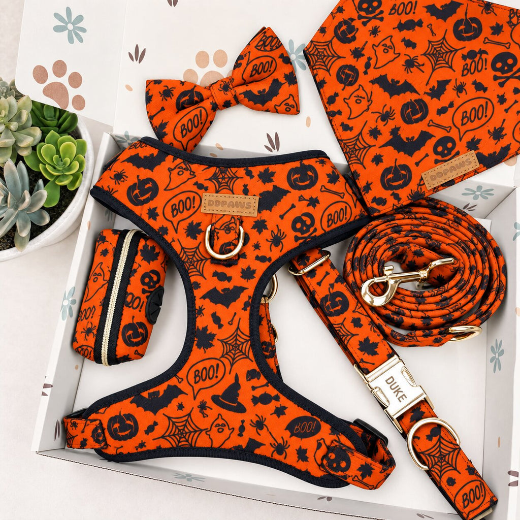 Entworfenes florales Hundegeschirr-Set [Maßanfertigung]