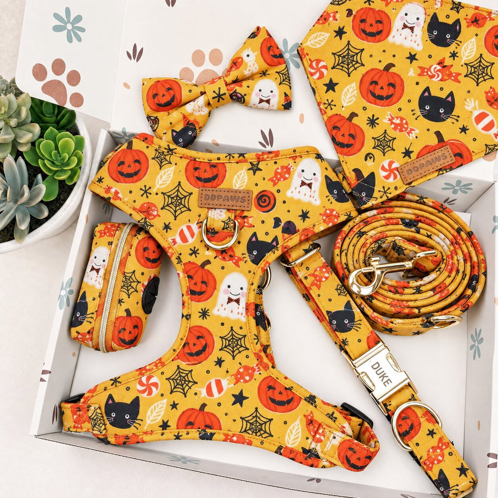 Designed Halloween Sugar Pumpkin Dog Harness Set