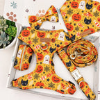 Designed Halloween Sugar Pumpkin Dog Harness Set