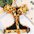 Designed Halloween Sugar Pumpkin Dog Harness Set