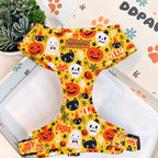 Designed Halloween Sugar Pumpkin Dog Harness Set