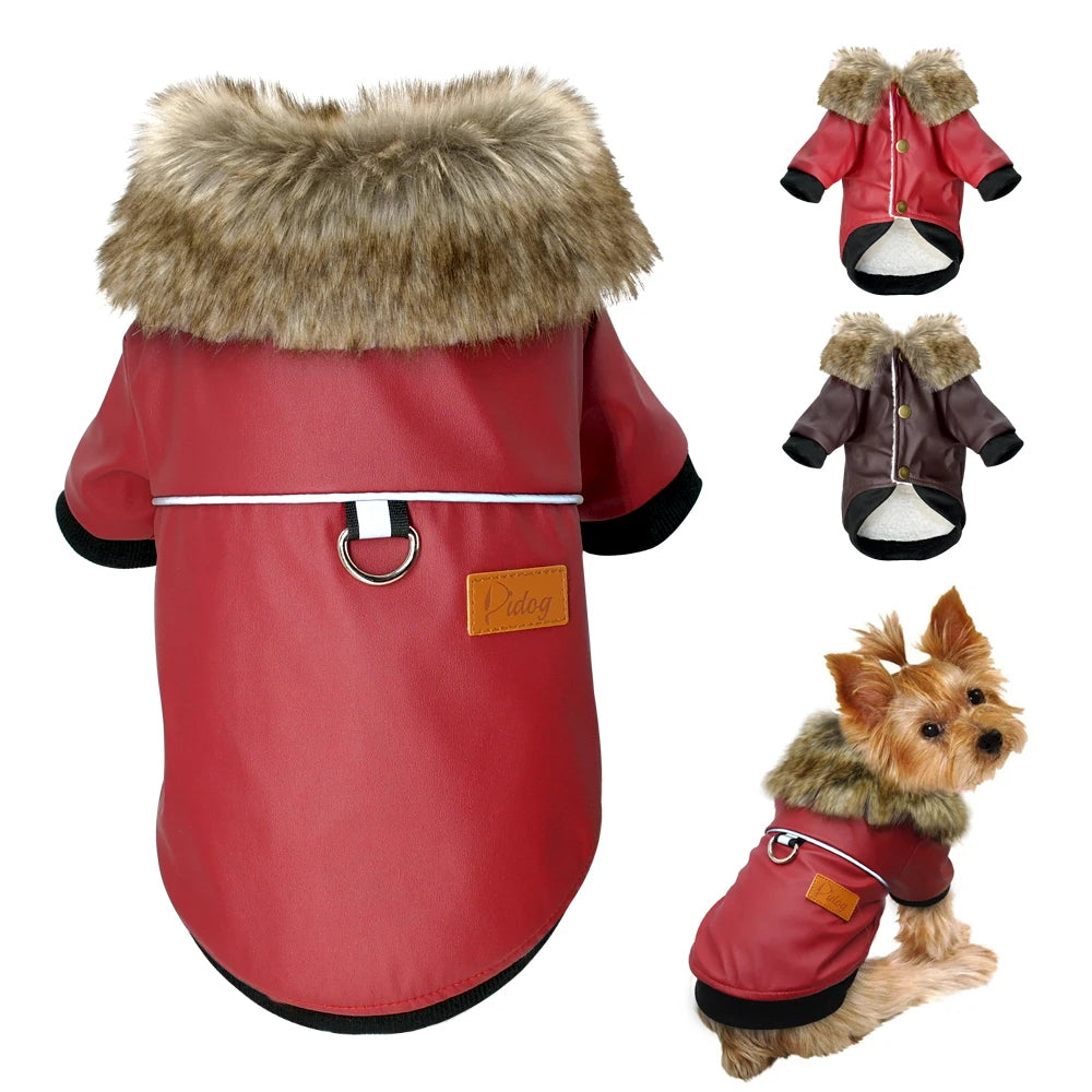 Cool Dog Leather Jacket – Warm Waterproof Winter Coat for Small & Medium Dogs