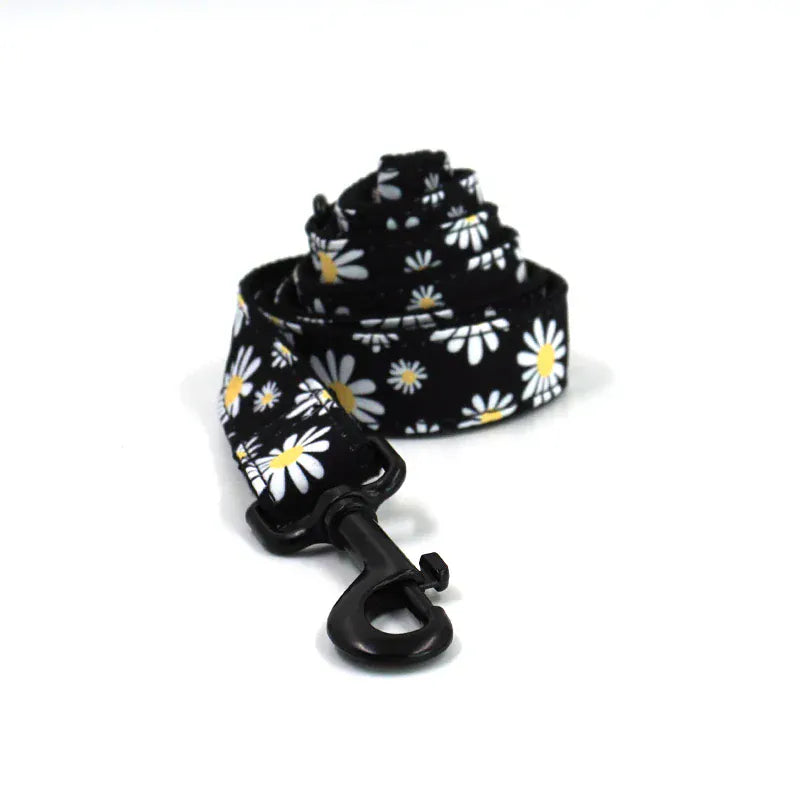 DDPaws  Leash / XS Little Daisy Floral Pattern Set
