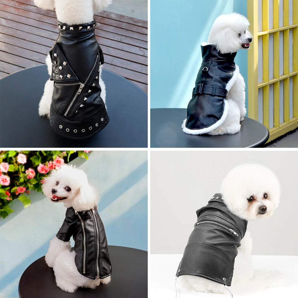 Cool Dog Leather Jacket – Warm Waterproof Winter Coat for Small & Medium Dogs