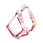 D&D Paws Harness / XS Pink Hearts Print Set