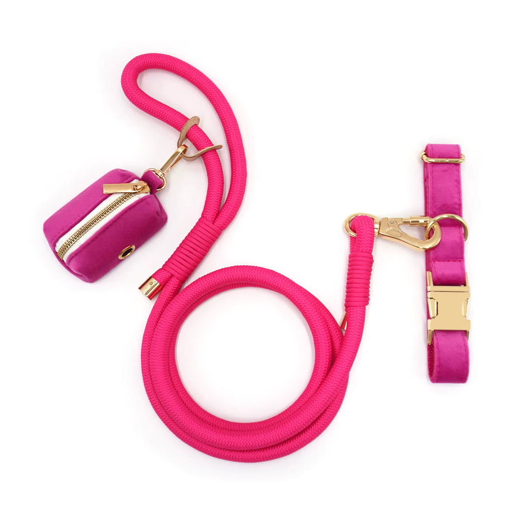 Personalized Velvet Dog Walking Set