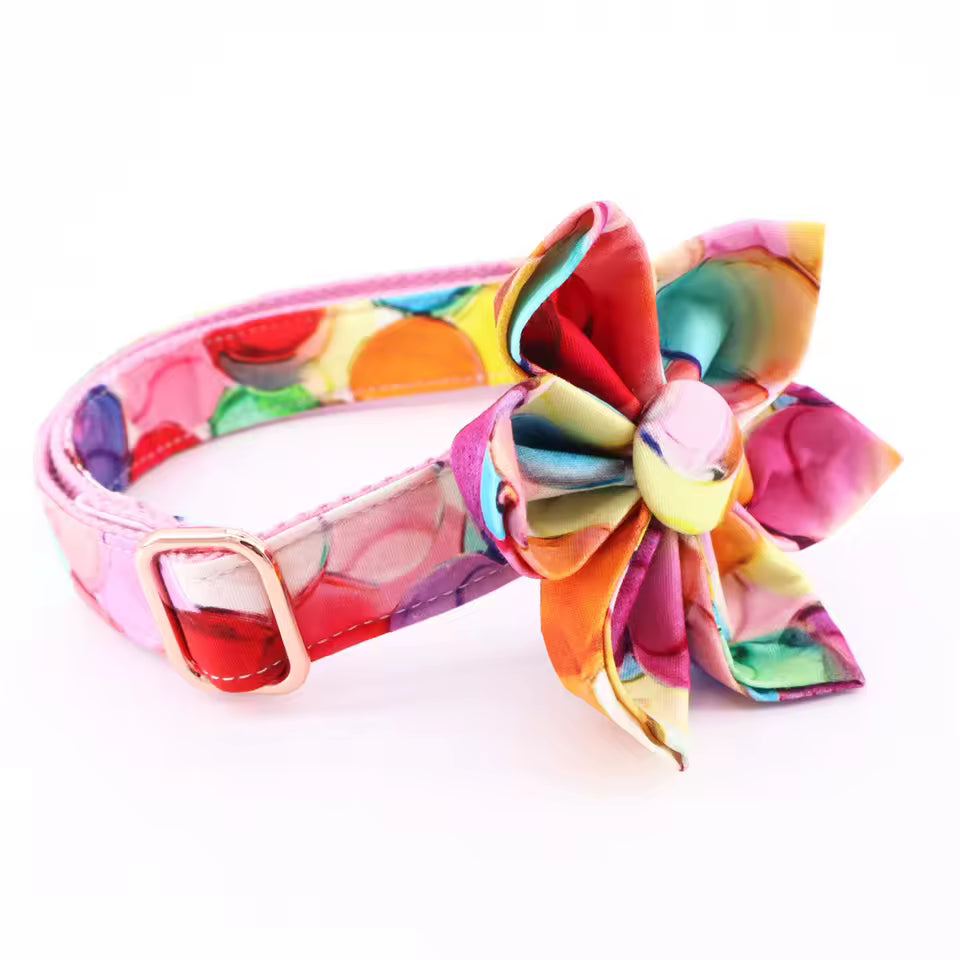 Sugar Pop Floral Dog Collar and Leash Set