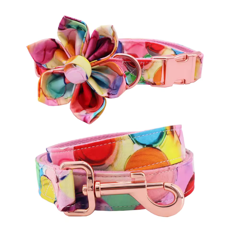 Sugar Pop Floral Dog Collar and Leash Set