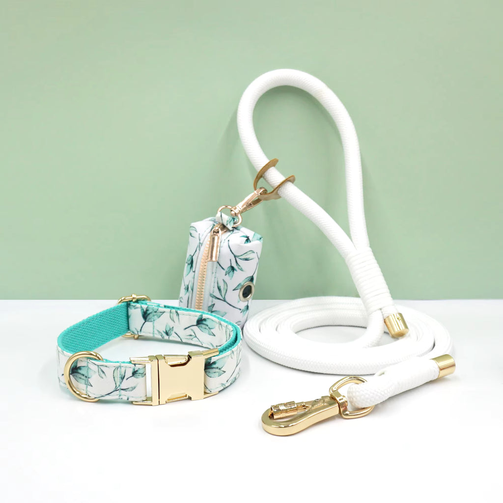 DDPaws Personalized Rope Dog Collar Leash Set