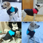 Waterproof Padded Dog Jacket – Warm Winter Vest for Small, Medium & Large Dogs