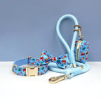 Personalized Holiday Dog Walking Set