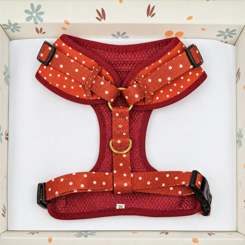 Designed Red Polka Dot Dog Vest Set