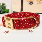 A red fabric dog collar with white polka dots, featuring a gold-tone metal buckle engraved with the name 'Daisy' and a gold D-ring, displayed on a white surface with a small plant in the background.