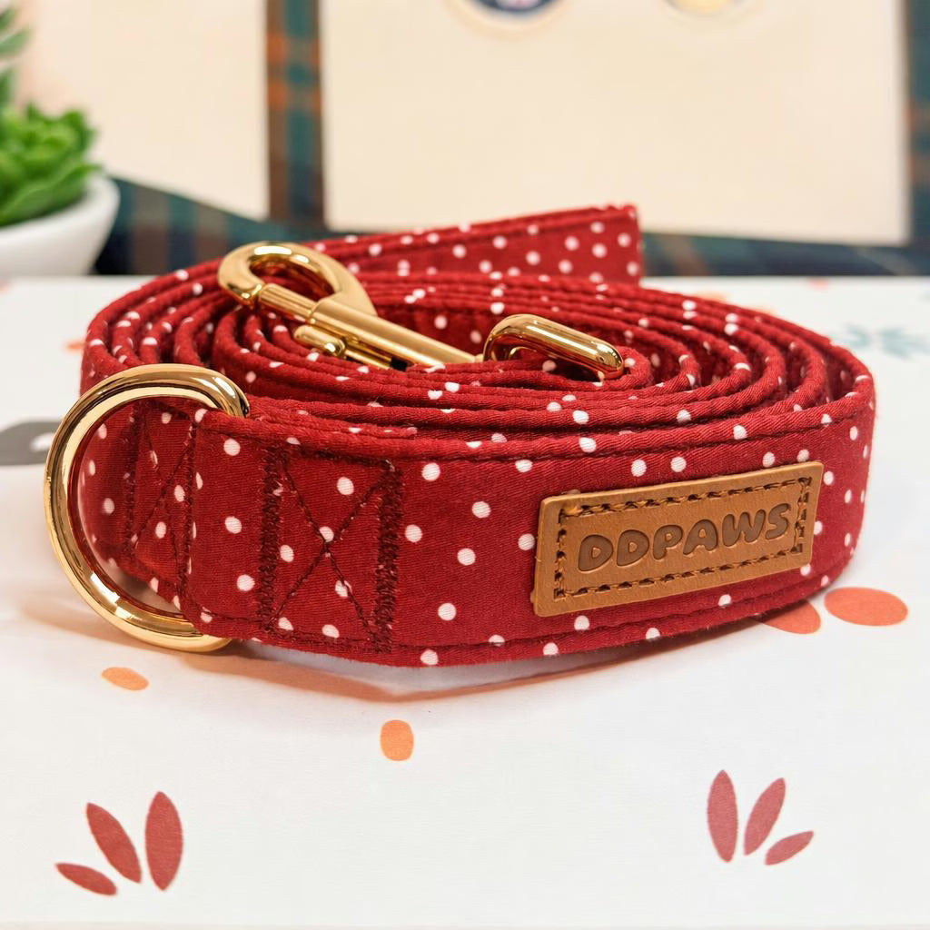 Designed Red Polka Dot Dog Vest Set