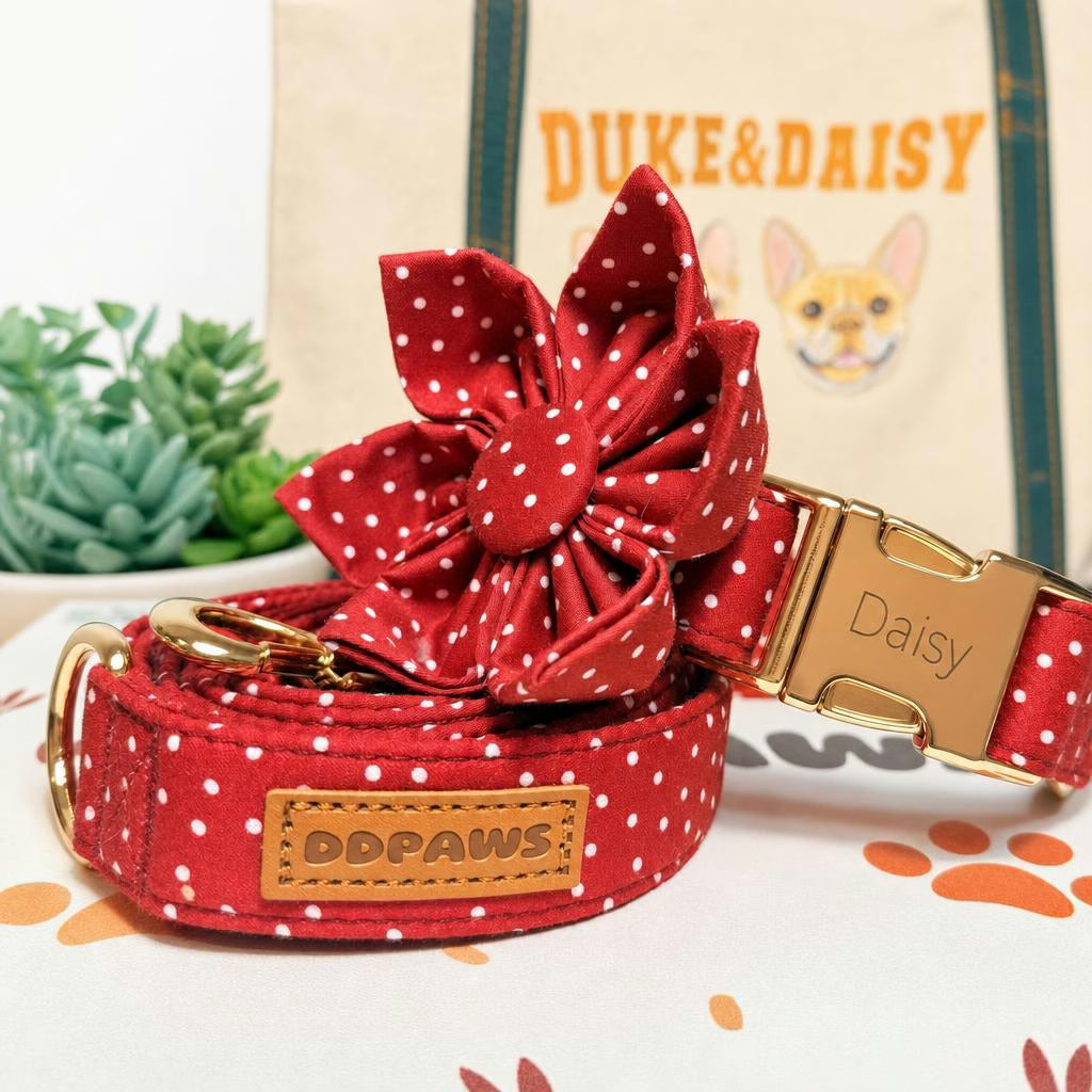 Designed Red Polka Dot Dog Vest Set